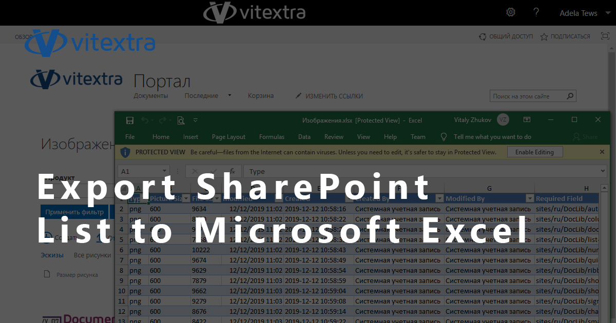 Export Filtered Data to Excel - Vitextra