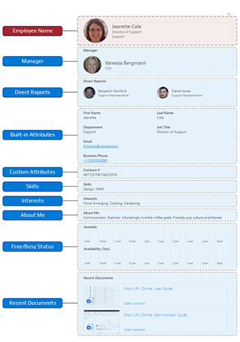 Details Pane Layout