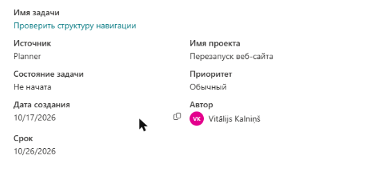 Панель «Сведения о задаче»