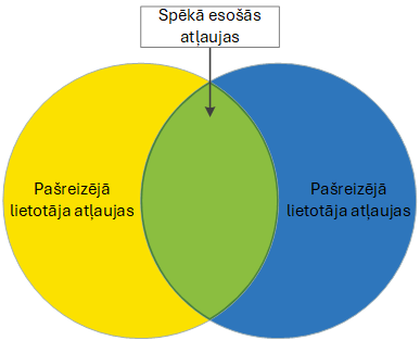 Lietojumprogrammas spēkā esošās atļaujas